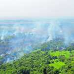 POR ROLANDO MIRANDA.
Incendio forestal consume al menos 2 km de mangle en Retalhuleu.
Varias hectáreas de mangle son afectadas por un incendio que se originó en el Manchón Guamuchal, Retalhuleu, desde hace cuatro días por causas que se desconocen, informó la Coordinadora Nacional Para la Reducción de Desastres (Conred).
Las autoridades informaron que brigadas de bomberos de Retalhuleu y Quetzaltenango combaten el incendio por tierra, y se estima que las llamas se han expandido a unos 2 kilómetros destruyendo la fauna y flora.
En un comunicado que dio a conocer el Consejo Nacional de Areas Protegidas (Conap) se informa que el incendio forestal ha afectado al bosque de mangle de las cuatro especies, blanco, negro, rojo y botoncillo; además fauna entre ellos: Mapaches, Tacuazines, Cuerpoespines, iguanas, aves entre otras especies.
Pedro Pérez, delegado departamental de la Coordinadora Nacional para la Reducción de Desastres (Conred), informó que el riesgo es que las llamas se extiendan a toda la reserva natural y los cultivos de los pobladores que residen en las comunidades aledañas.
“Se ha coordinando con otras instituciones, bomberos de Retalhuleu y Quetzaltenango para combatir el siniestro que ha acabado con gran parte de la vegetación del lugar, y si no se actúa de inmediato se puede complicar”, indicó Pérez.