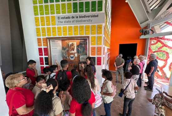 AME9704. CIUDAD DE PANAMÁ (PANAMÁ), 21/11/2024.- Estudiantes visitan el Biomuseo durante la inauguración de la primera edición de "Mi experiencia en el museo", este jueves en Ciudad de Panamá (Panamá). Panamá inauguró este jueves la primera edición de "Mi experiencia en el museo", una actividad en la que diversos museos abrieron sus puertas a niños y estudiantes para que entraran en contacto con el arte, la historia y la riqueza cultural del país que albergan sus salas. EFE/Bienvenido Velasco