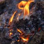 Middleton (United States), 07/11/2024.- A wildfire continues to burn in the wooded area near Middleton Pond in Middleton, Massachusetts, USA, 07 November 2024. According to data released by the North American Drought Monitor, most of the New England states are currently in moderate to severe drought status. According to the Massachusetts Department of Fire Services, wildfires in the state of Massachusetts had spiked 1,200 percent in the month of October, due in part to the continuing dry and windy conditions. (incendio forestal, sequía) EFE/EPA/CJ GUNTHER