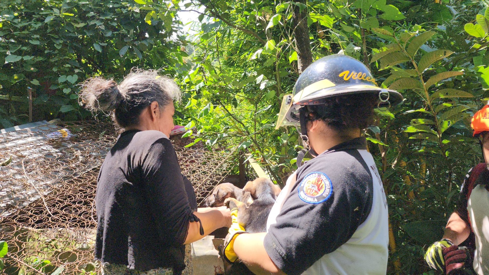 Los socorristas rescataron a una mujer de 62 años que cayó a un barranco. (Foto Prensa Libre: Bomberos Voluntarios)