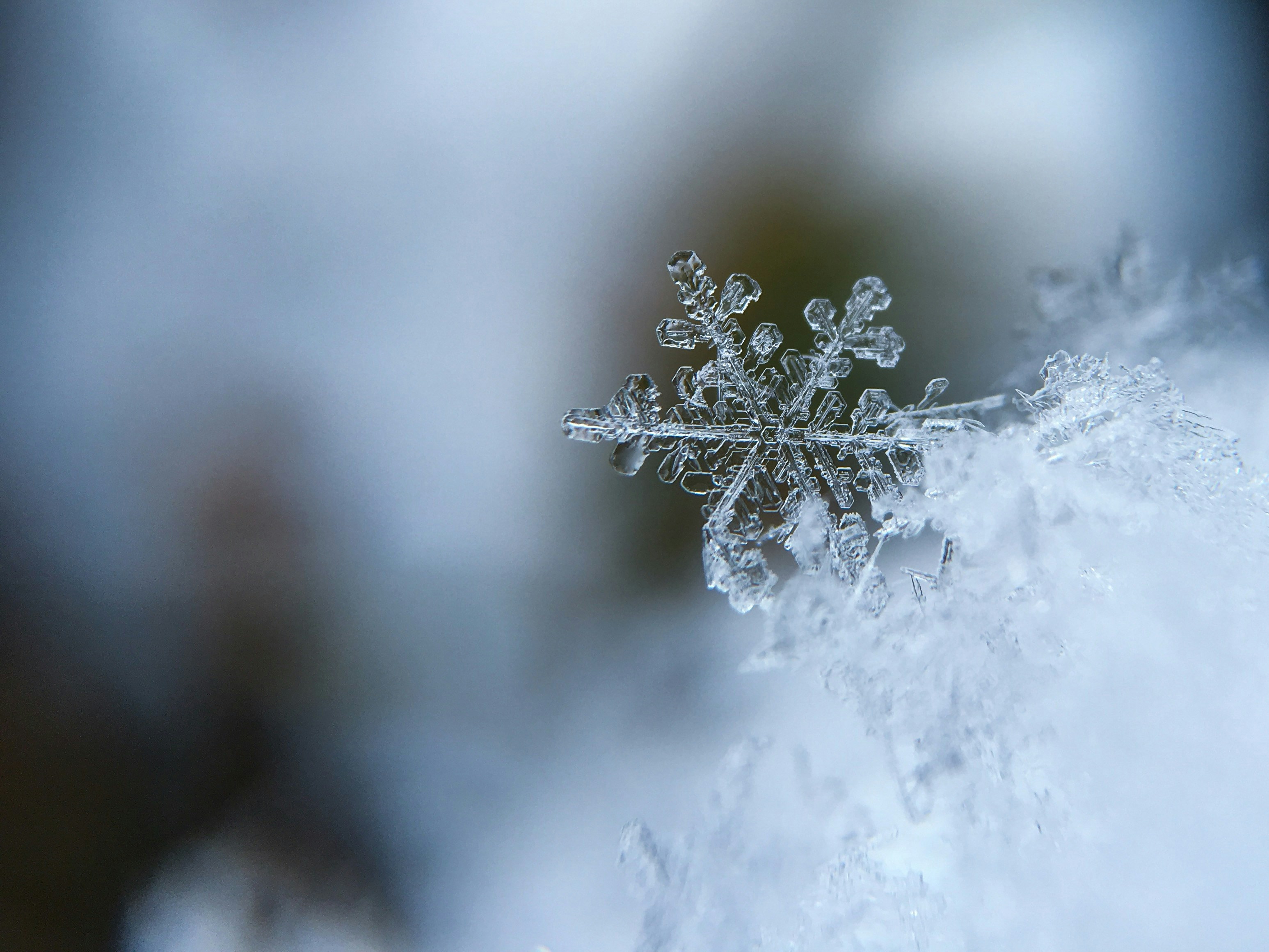 Foto de referencia. Poblados en Madrid registran bajas temperaturas y nevadas que coinciden con el paso de una DANA. (Foto Prensa Libre: Unsplash)