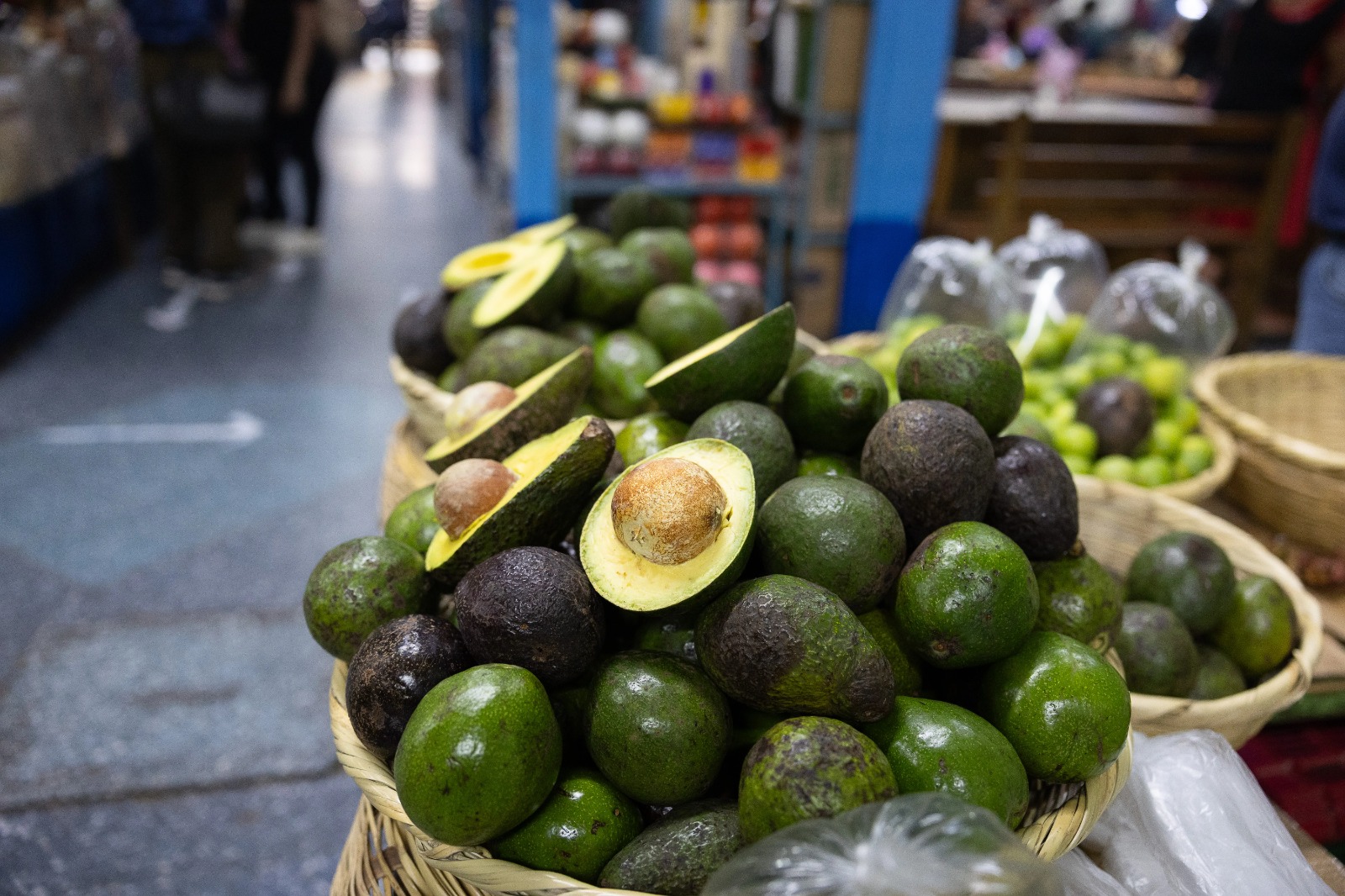 El aguacate Hass es una variedad muy popular a nivel mundial, y Guatemala estará exportándolo a partir de enero 2025 hacia los Estados Unidos. (Foto Prensa Libre: EFE)