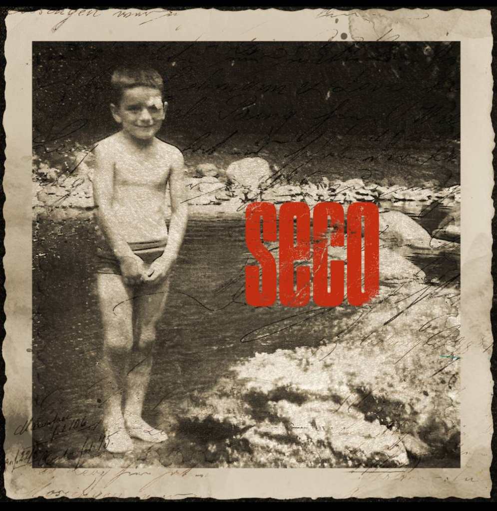 Ricardo Arjona - Portada disco "SECO"