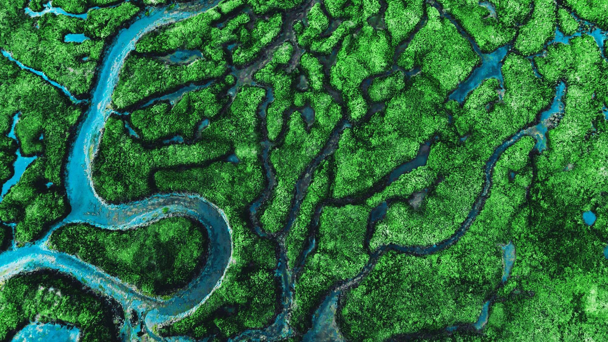 Ríos vistos desde arriba