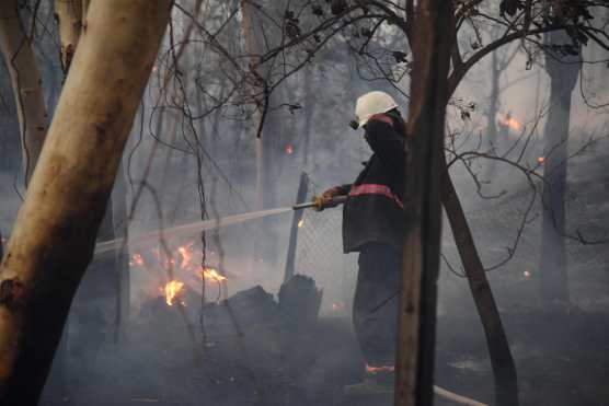 A firefighter sprays water on burning vegetation during a forest fire in San Miguel, Asuncion on January 18, 2025. (Photo by DANIEL DUARTE / AFP)