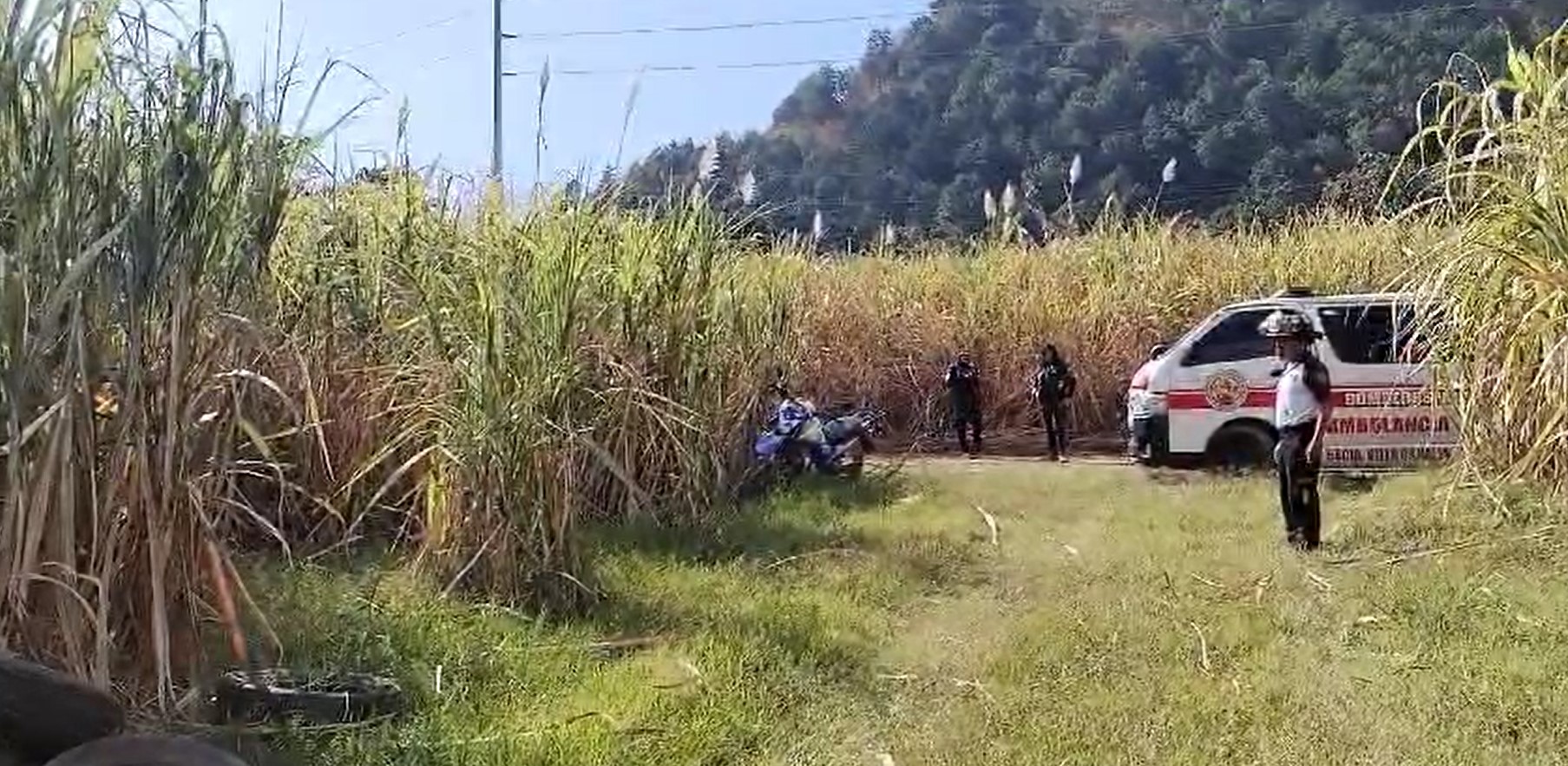 El taxista Edwin Soto fue localizado muerto en un cañaveral de Villa Canales. (Foto Prensa Libre: Captura de pantalla) 