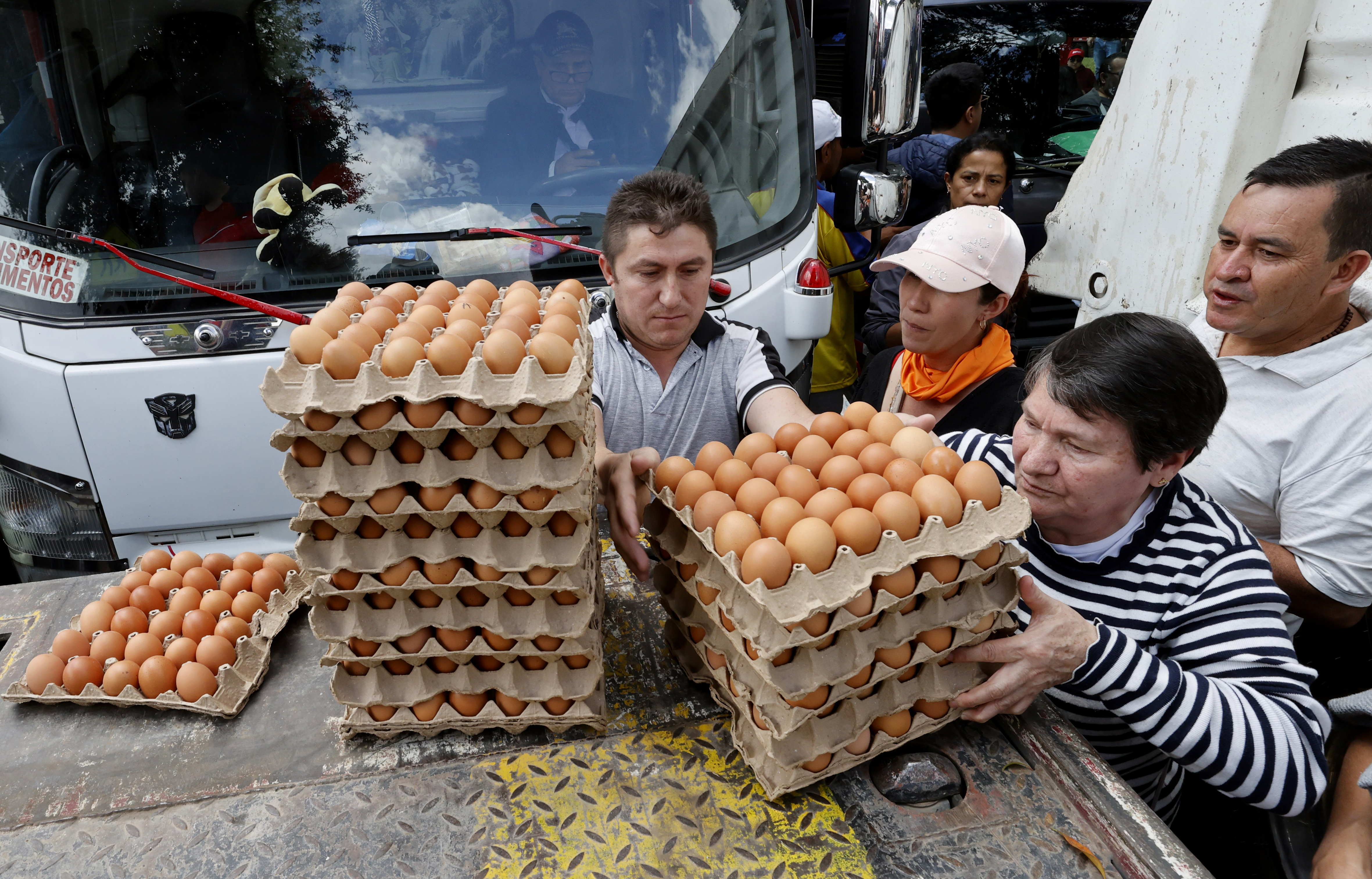 Huevos Estados Unidos