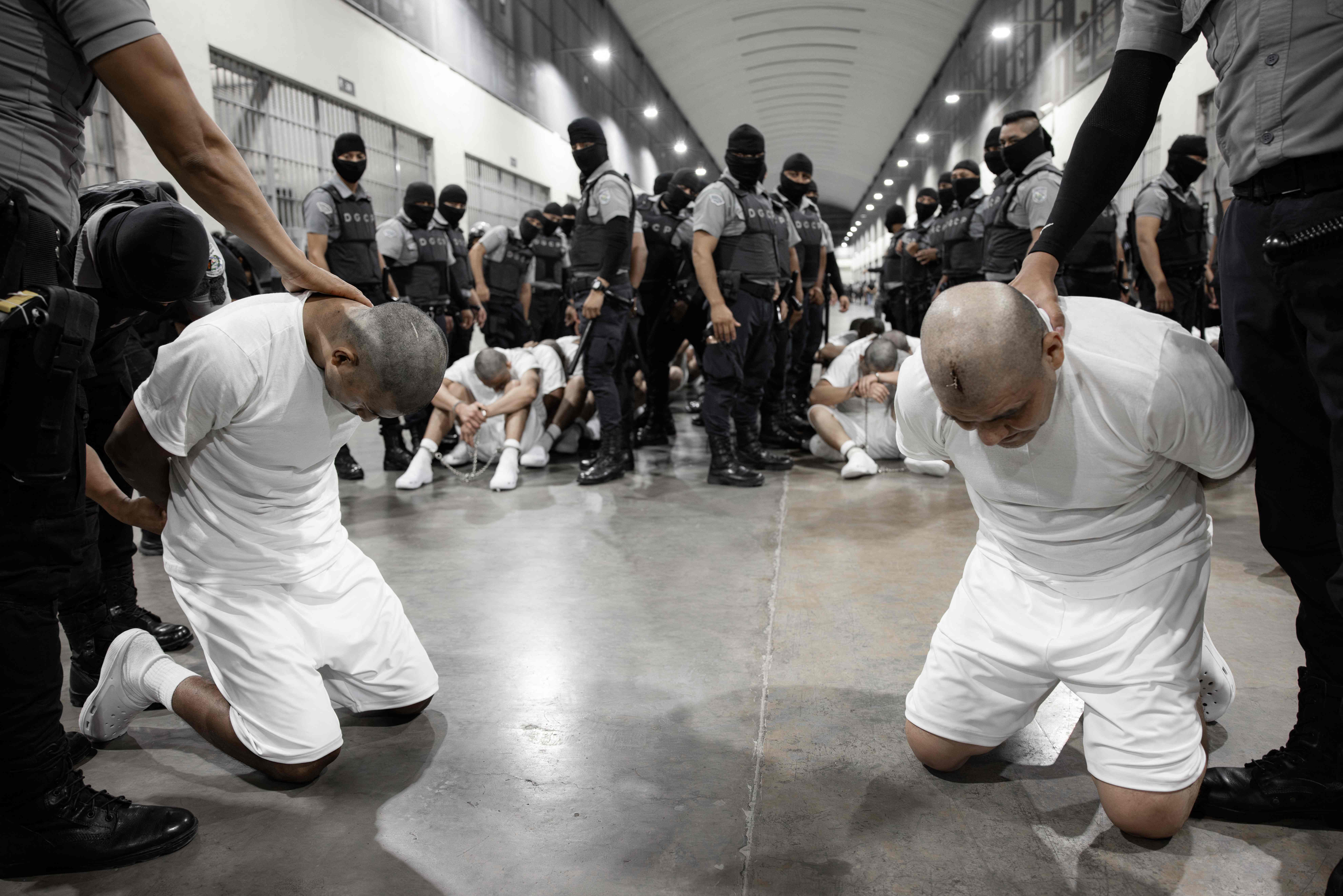 This handout picture released on March 16, 2025, by El Salvador's Presidency press office shows the arrival of alleged members of the Venezuelan criminal organization Tren de Aragua at the Terrorism Confinement Center (CECOT) in the city of Tecoluca, El Salvador. The United States has sent over 200 alleged members of a Venezuelan gang to be imprisoned in El Salvador, President Nayib Bukele said Sunday, after US counterpart Donald Trump invoked wartime authorities to expel migrants. (Photo by Handout / EL SALVADOR'S PRESIDENCY PRESS OFFICE / AFP) / RESTRICTED TO EDITORIAL USE - MANDATORY CREDIT "AFP PHOTO / EL SALVADOR'S PRESIDENCY PRESS OFFICE" - NO MARKETING NO ADVERTISING CAMPAIGNS - DISTRIBUTED AS A SERVICE TO CLIENTS