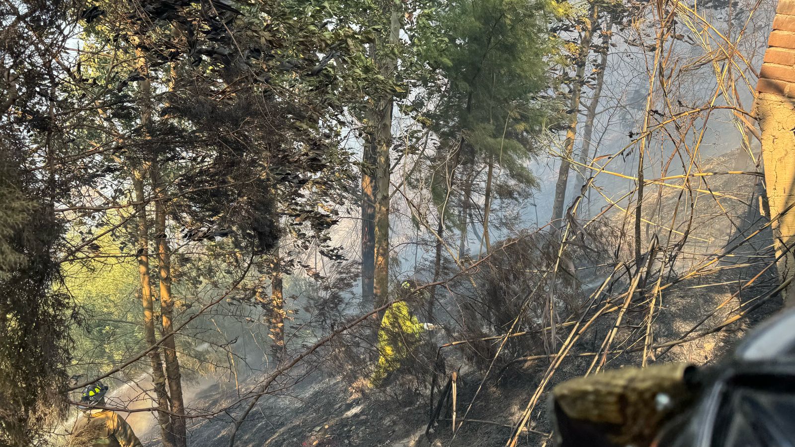 Incendio forestal en Las Charcas