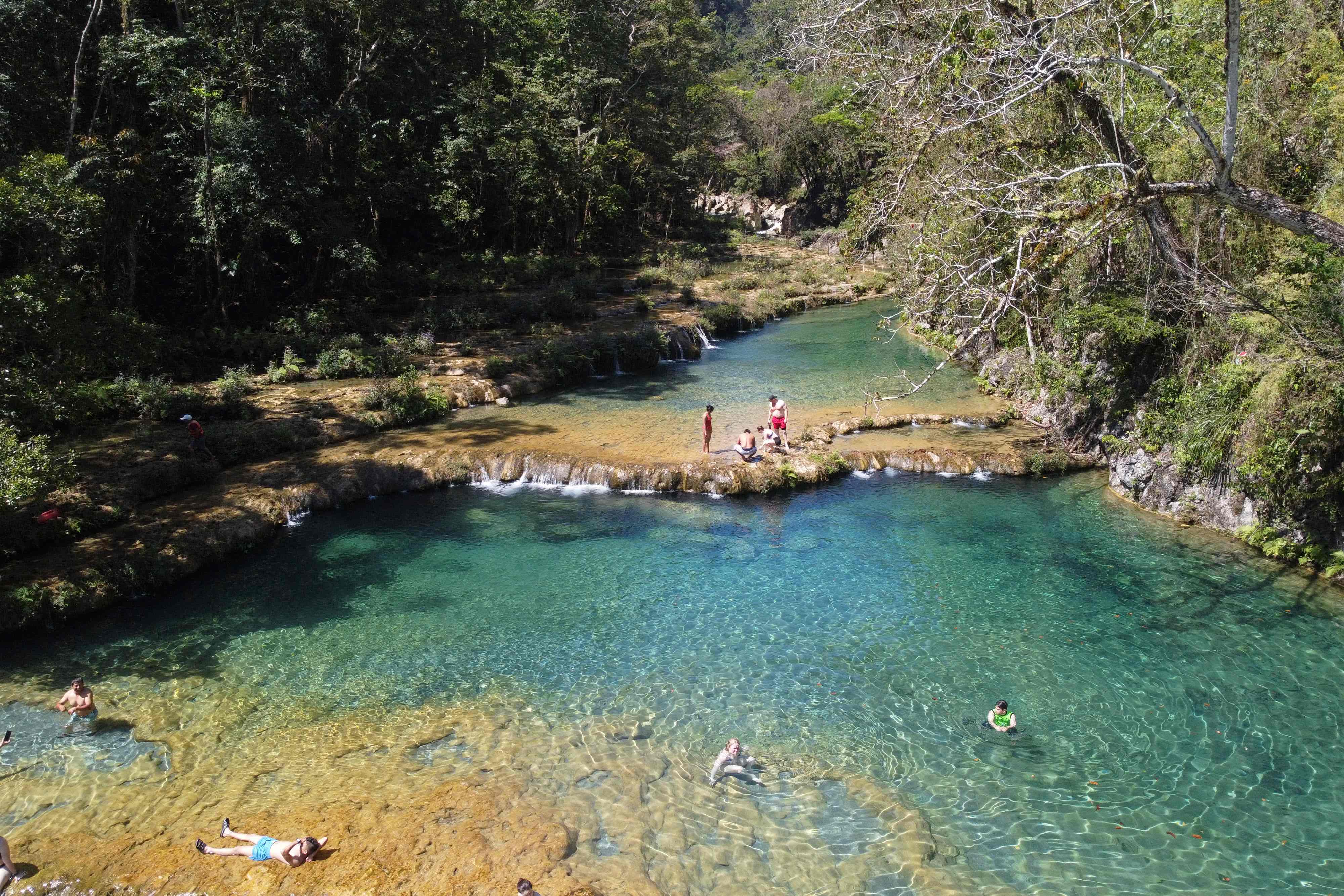 En Semuc Champey existe una riqueza de flora y fauna, con mas de 100 especies de aves, además de 34 mamíferos, 25 reptiles y anfibios y 10 especies de peces. (Foto Prensa Libre: AFP)