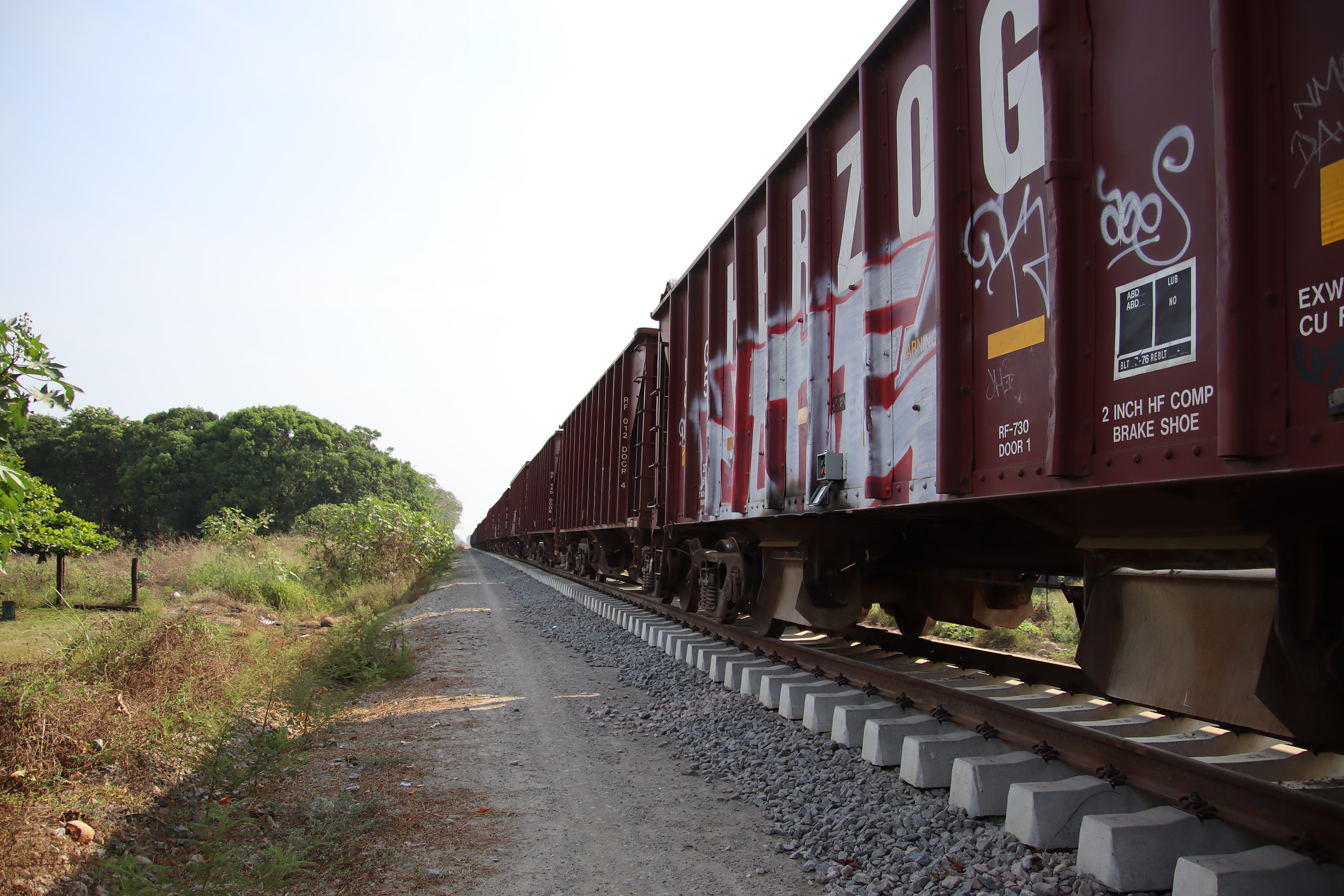 MEX569. TAPACHULA (MÉXICO), 21/04/2025.- Fotografía de vagones de un ferrocarril este lunes, en la ciudad de Tapachula en Chiapas (México). Migrantes en la frontera de México y Guatemala desean trabajar en el Tren Maya, el Corredor Interocéanico y las industrias que prometió la presidenta mexicana, Claudia Sheinbaum, para mitigar la migración, lo que afianzaría a la zona como polo industrial de Centroamérica, según funcionarios. EFE/ Juan Manuel Blanco