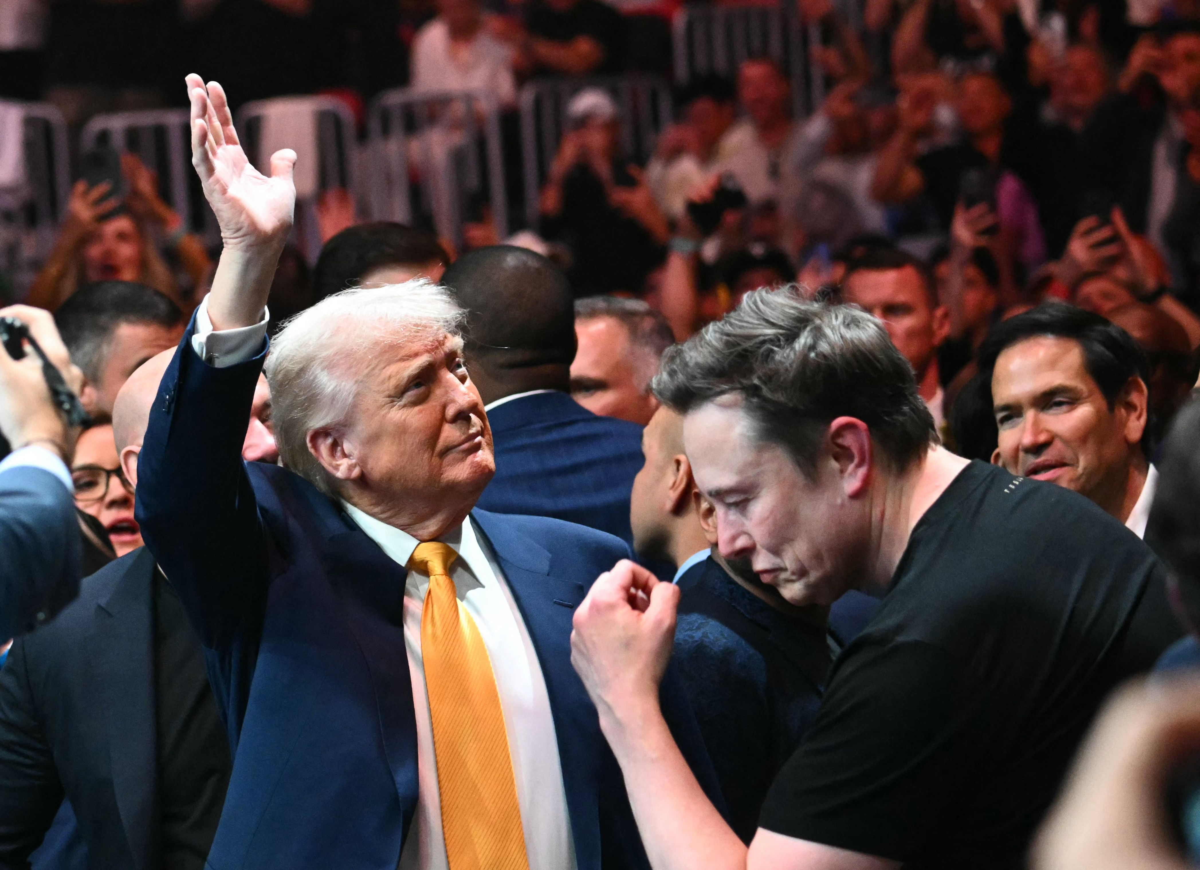 Donald Trump Elon Musk