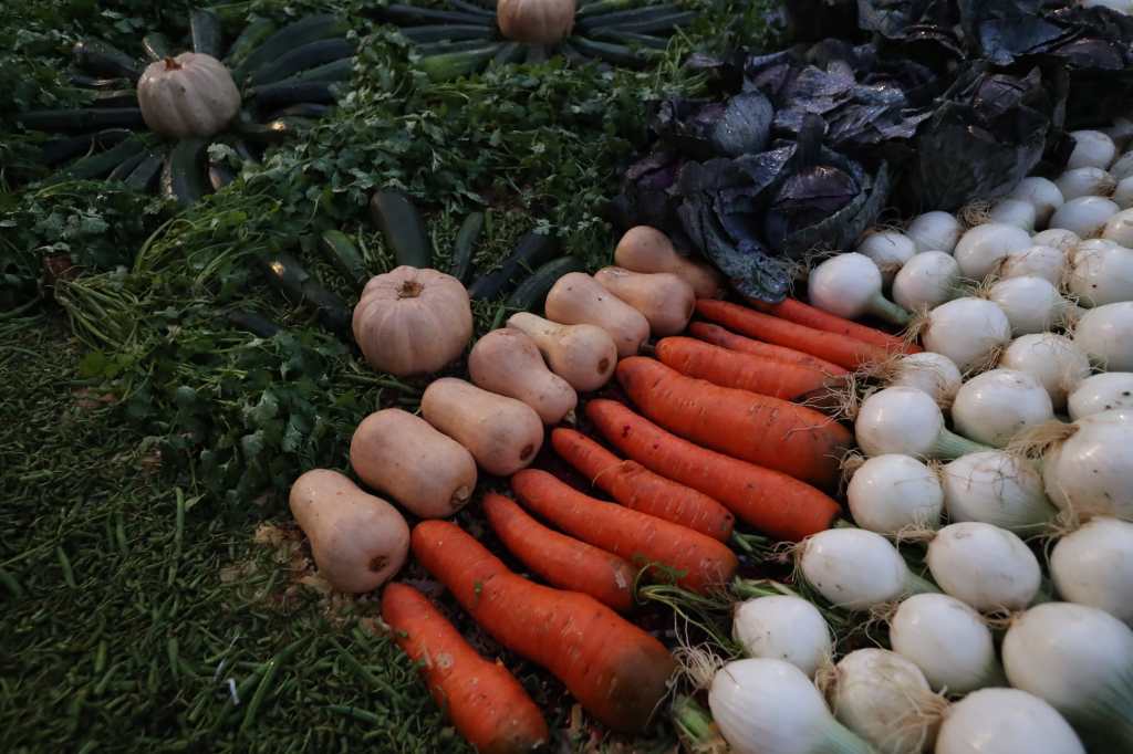 Alfombra de verduras en Viernes Santo en Antigua Guatemala (13)