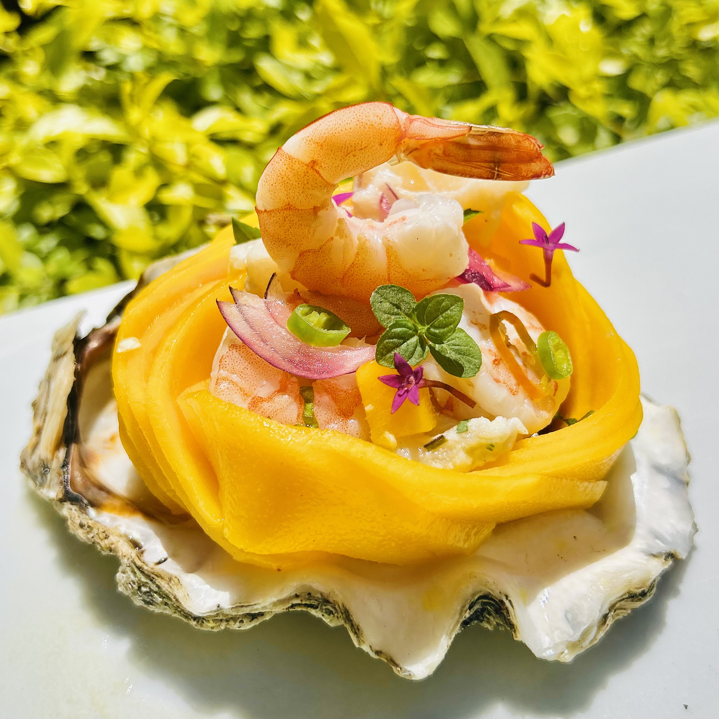 Ingrediente estrella: ceviche de mango con camarones y pescado