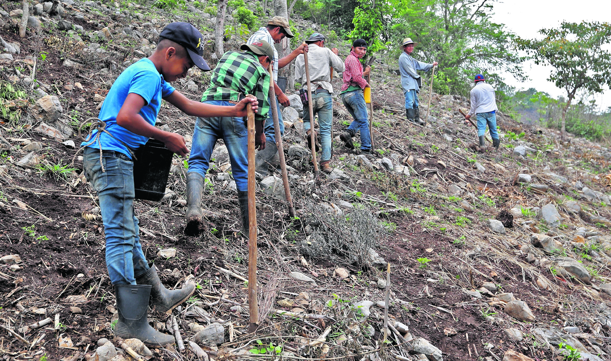 La desnutriciÛn y crisis alimentaria comienza a evidenciarse en aldeas de Camot·n, departamento de Chiquimula, donde varias familias hacen uno o dos tiempos de comida y el alimento que proviene de sus siembras comienza a escasearse, situaciÛn que les preocupa ya que no tienen lo suficientes recursos econÛmicos para comprar m·s alimento. Muchos de ellos han comenzado a sembrar, con la esperanza de tener una cosecha para el prÛximo aÒo. FotografÌa Prensa Libre: MarÌa ReneÈ Barrientos Gaytan.???