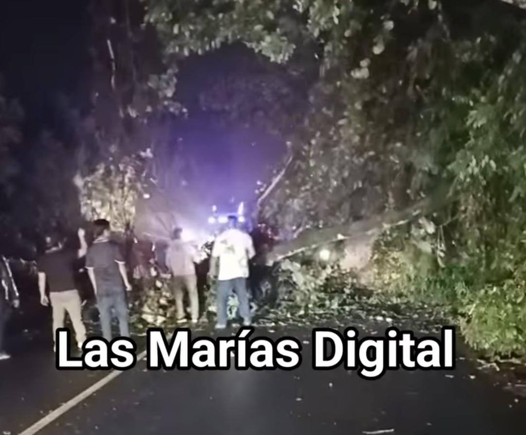 La imagen muestra un árbol caído que bloquea una avenida en Retalhuleu, tras las lluvias del 6 de abril. (Foto, Prensa Libre: cortesía Conred)