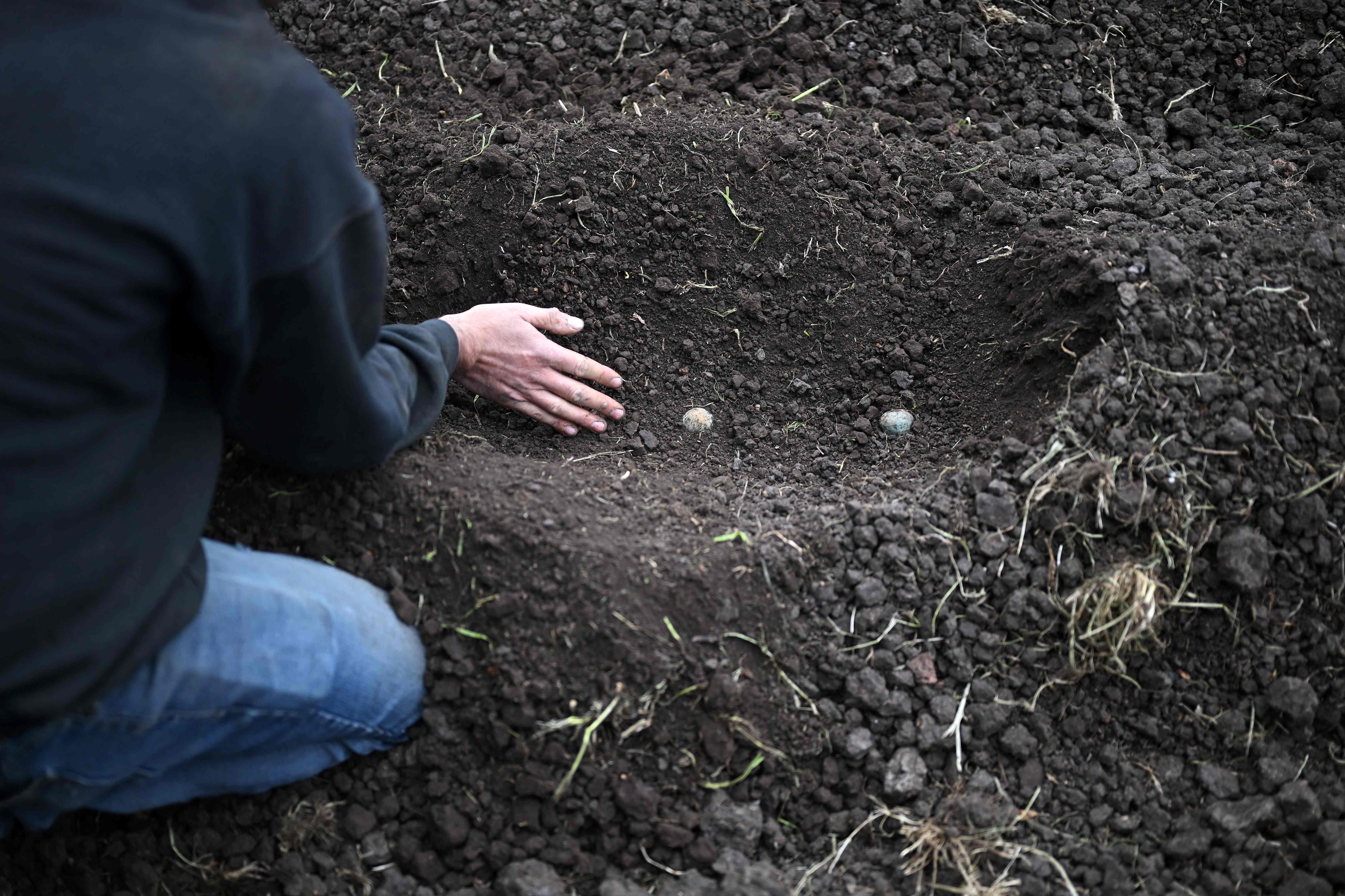 Créditos Tob’anilk se entregarán a partir de mayo, según el CHN.
(Foto Prensa Libre: AFP)