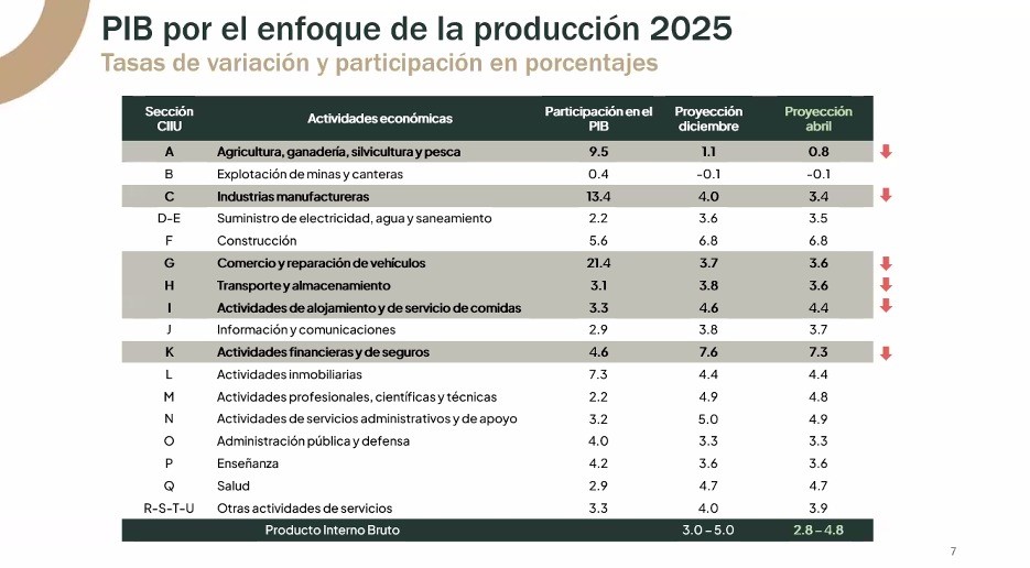 Banguat JM revisa a la baja economía y sectores 30 abril 2025