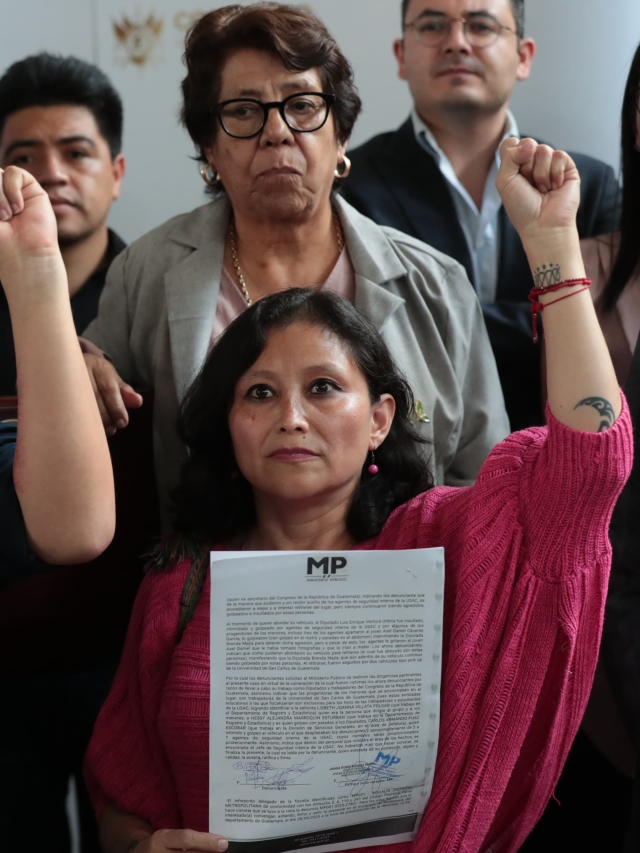 DIPUTADOS VENTURA Y MEJÍA. AGRESIÓN