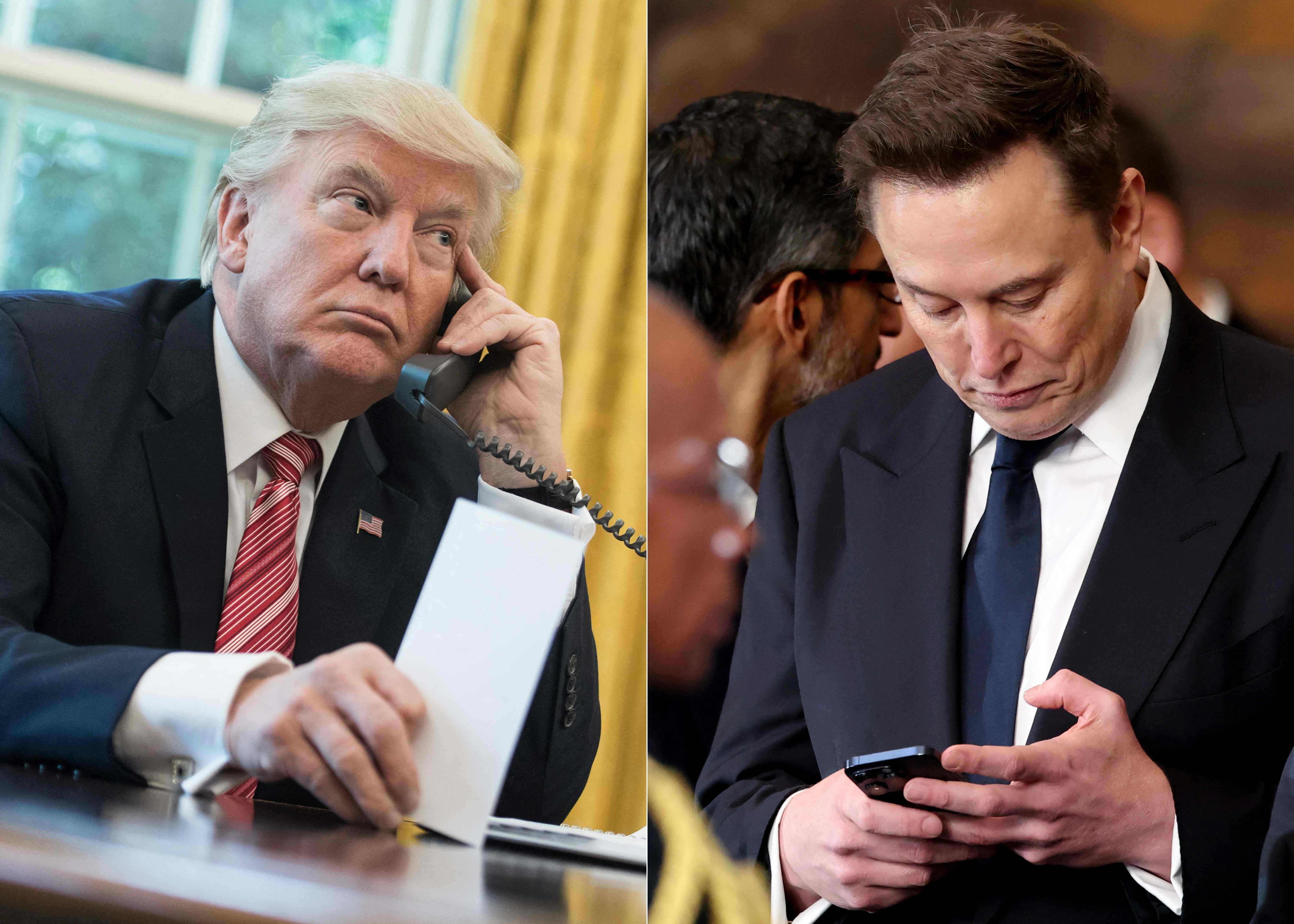 Donald Trump y Elon Musk