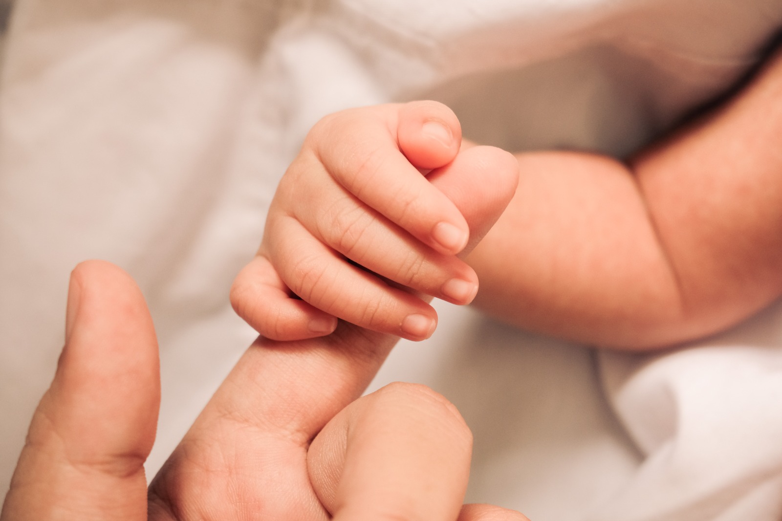 Bebé de 8 meses Utah