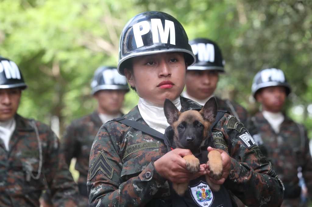 Miembro de la Policía Militar carga un cachorro utilizado para tareas K9 mientras marcha en el desfile.

