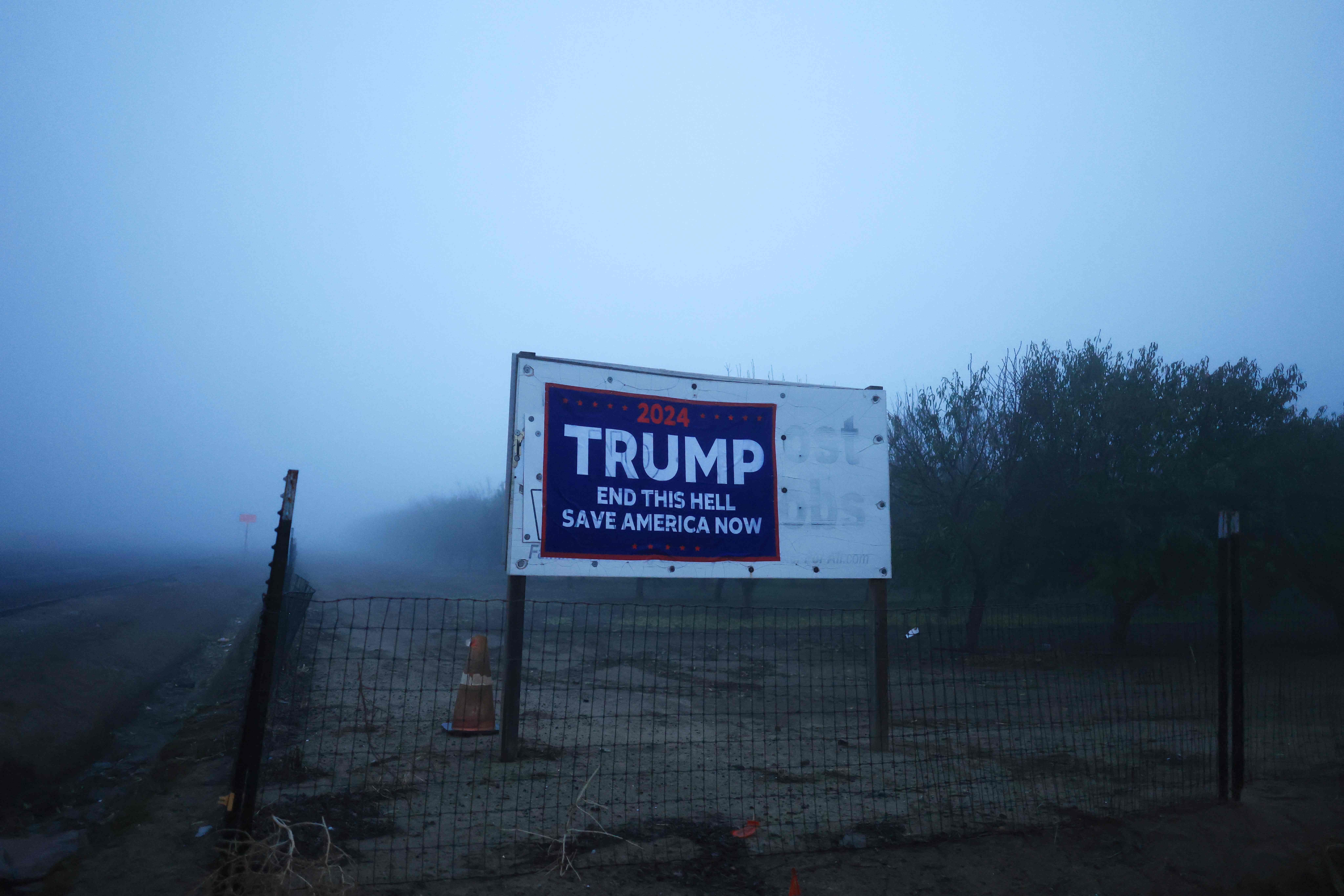 Presidente Donald Trump bosques