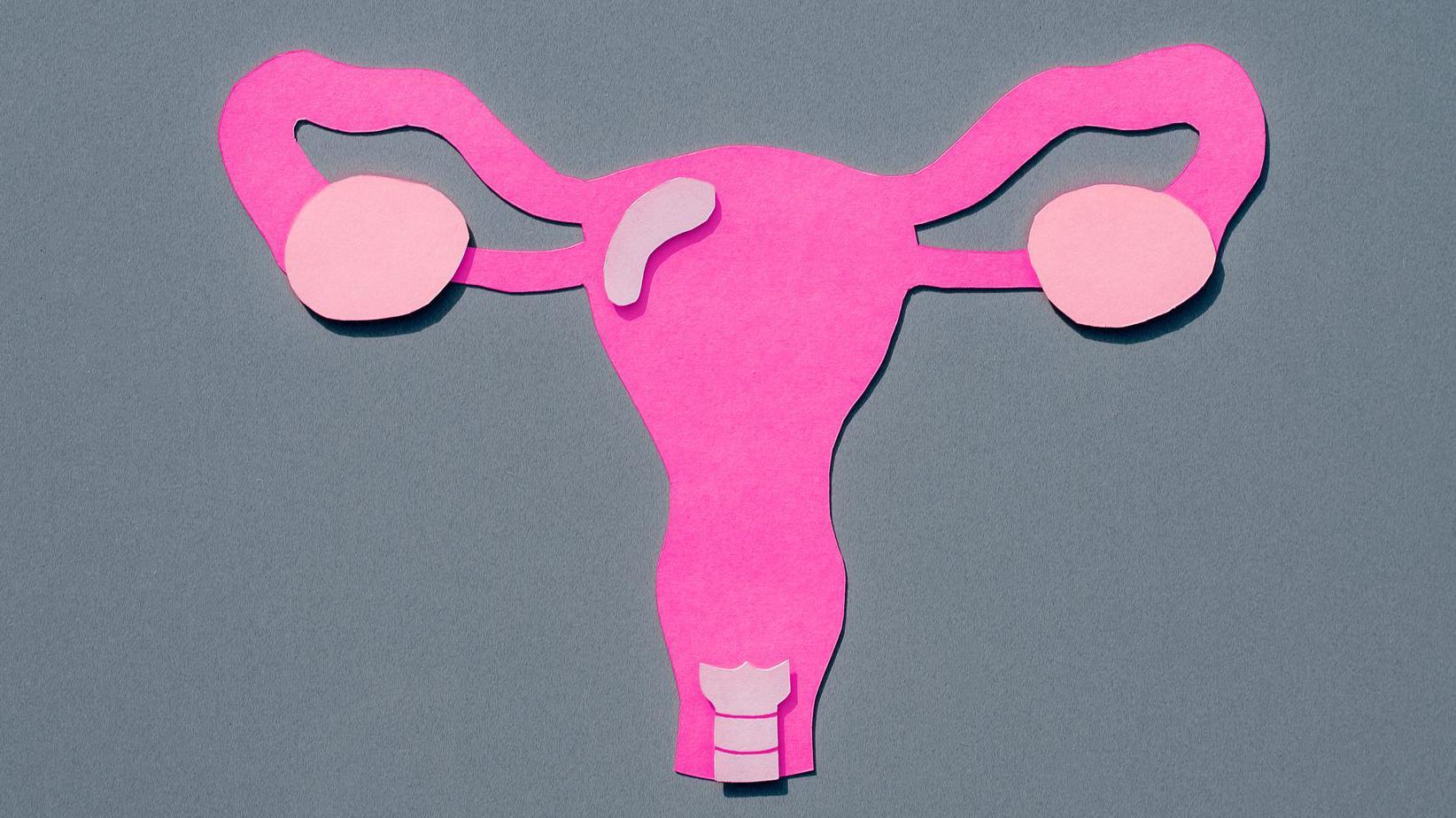 El útero no se encuentra exactamente en la misma posición en todas las mujeres. 