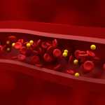 Nivel normal de LDL (lipoproteína) - colesterol y flujo de rbc en el vaso sano - visión isométrica Ilustración 3d