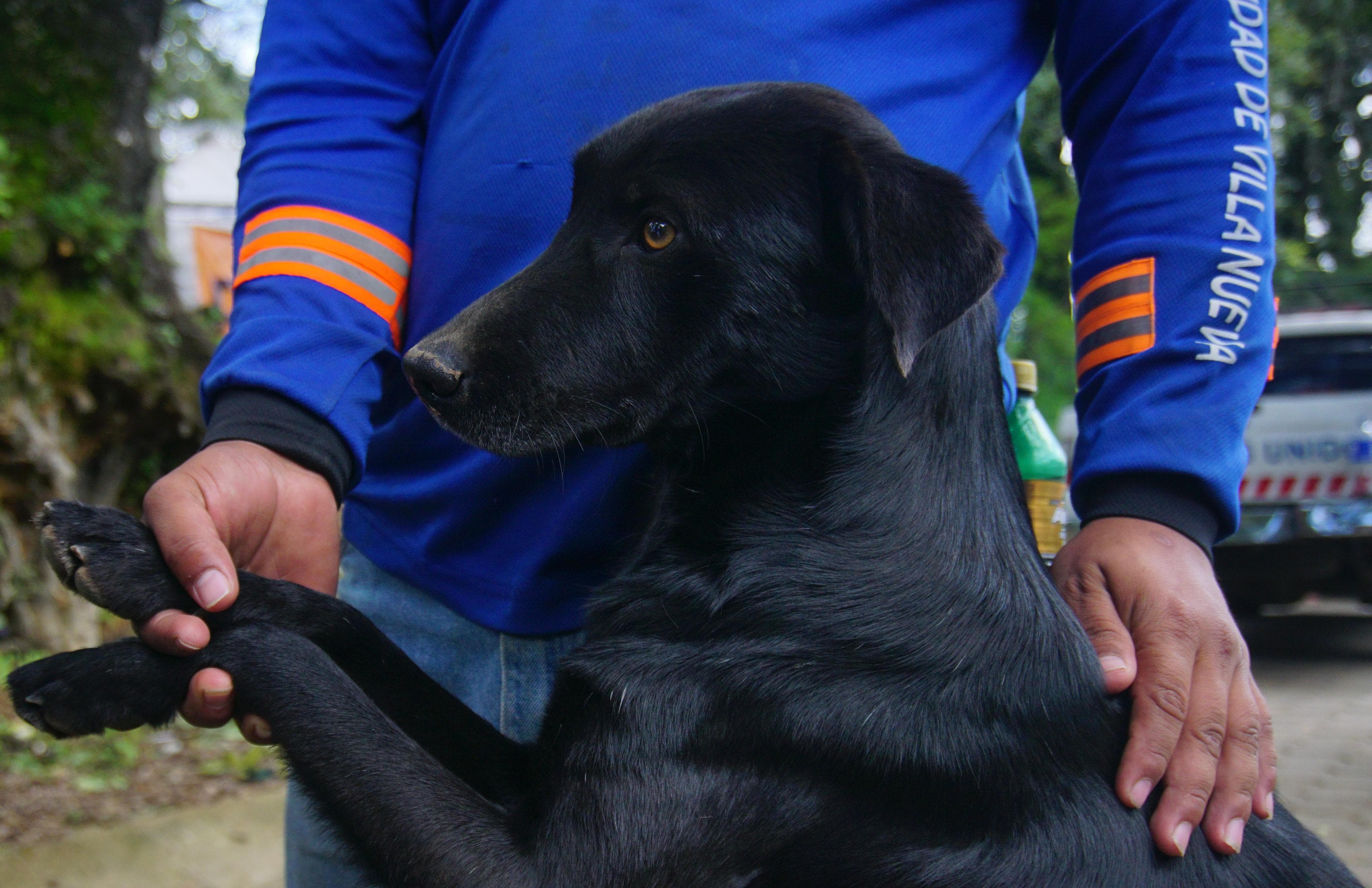 NEGRO AYUDO A HALLAR CADAVER EN VILLA NUEVA. SISMOS