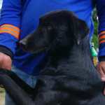 NEGRO AYUDO A HALLAR CADAVER EN VILLA NUEVA. SISMOS