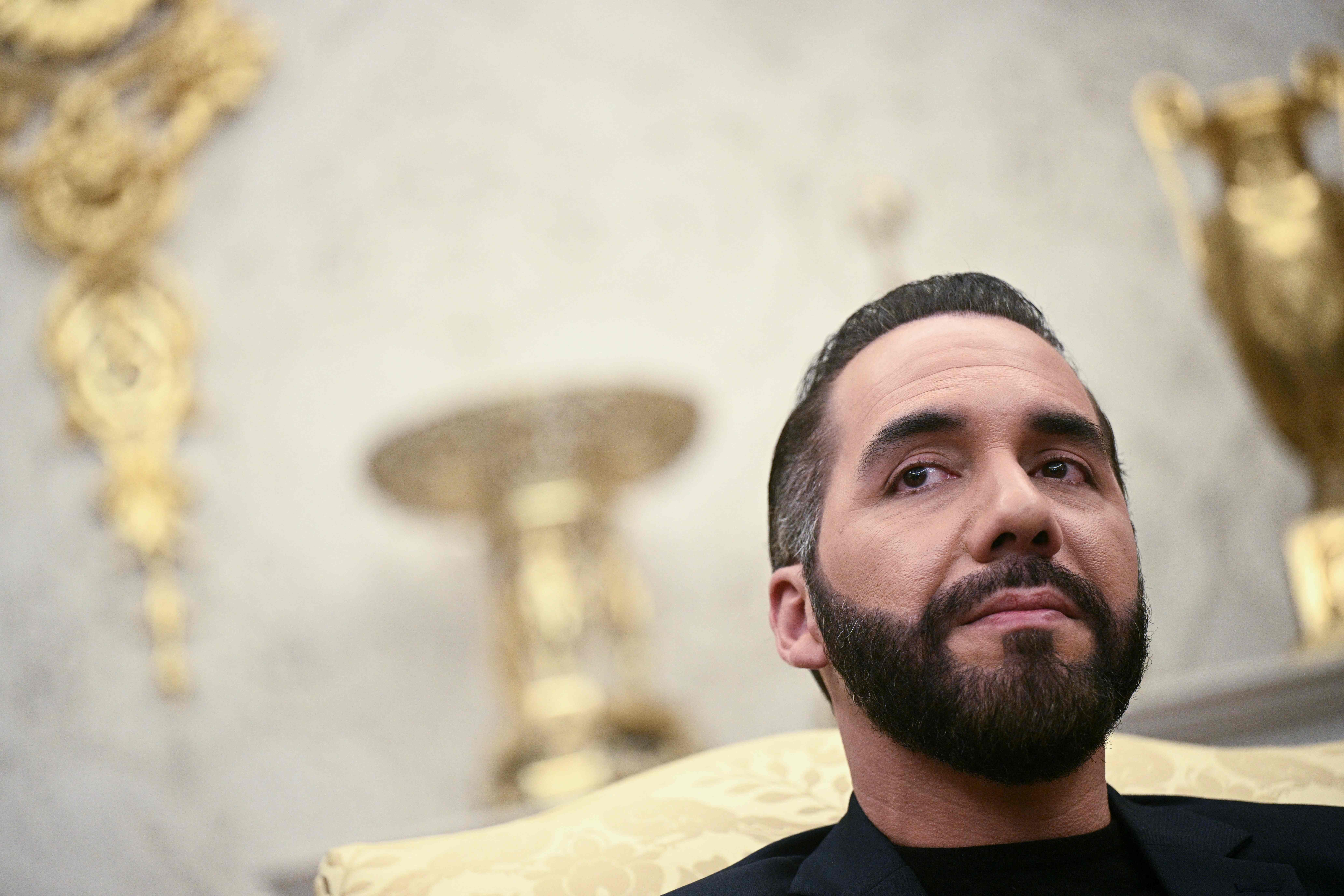 Presidente Nayib Bukele El Salvador