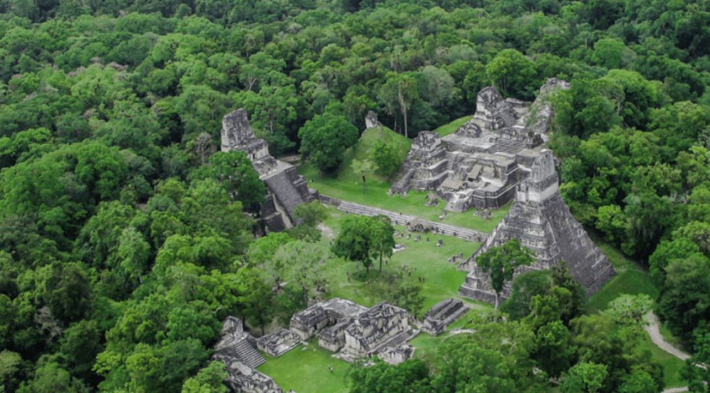 vista aérea de plaza central de Tikal Parque Nacional Guatemala