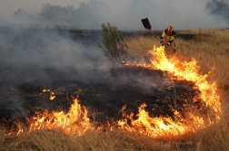 A firefighter works to extinguish a wildfire approaching Losacio, north of Zamora, on August 12, 2025. A man died from burns and thousands of people were forced to evacuate as wildfires swept through parts of Spain, fueled by strong winds and a searing heat wave that has gripped the country for 10 days. (Photo by Cesar Manso / AFP)
