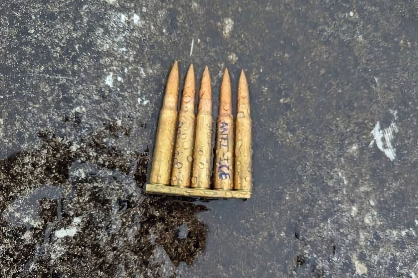 Anti-ICE Joshua Jahn