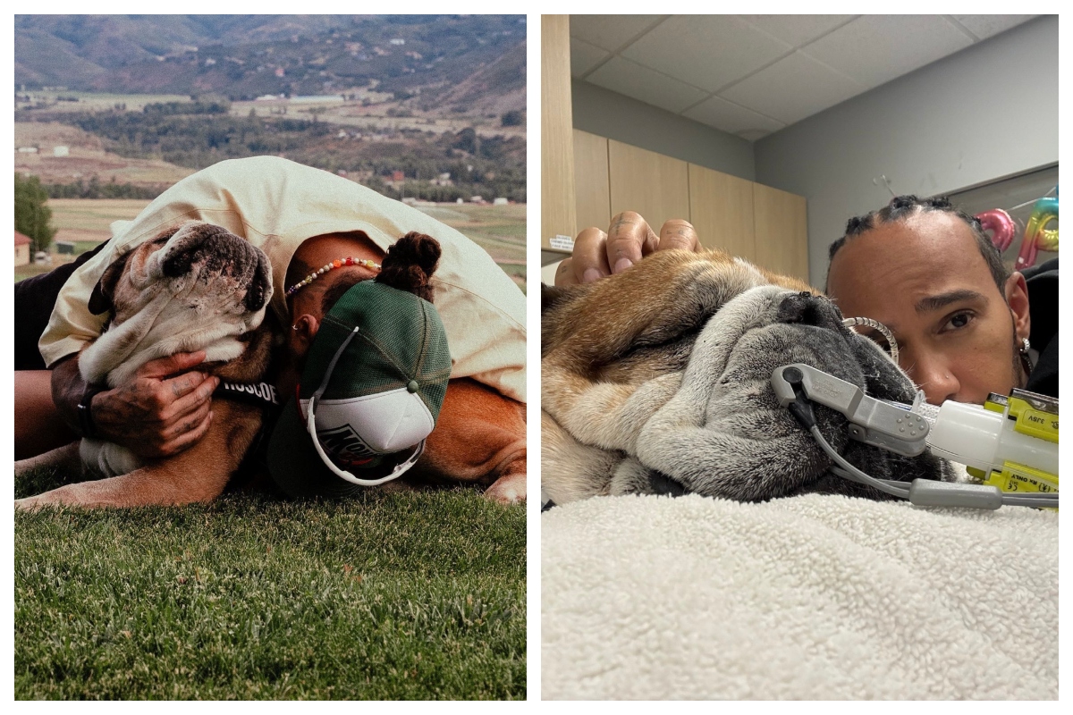 Lewis Hamilton se despide de su mascota con emotivo mensaje