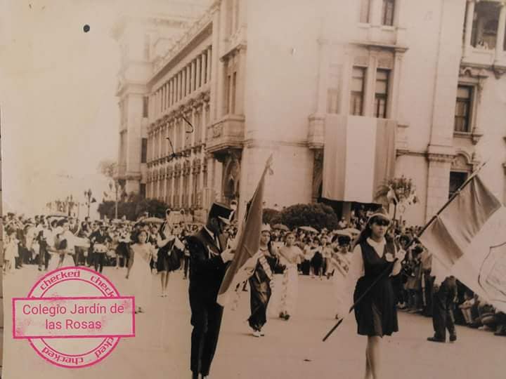 Fotografía de archivo de jardín de las rosas