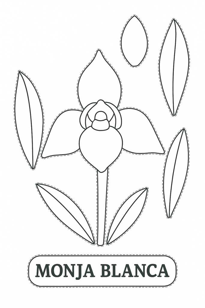 monja blanca en relieve