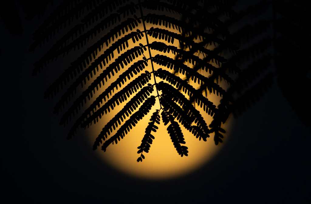 Primera superluna del año en República Dominicana