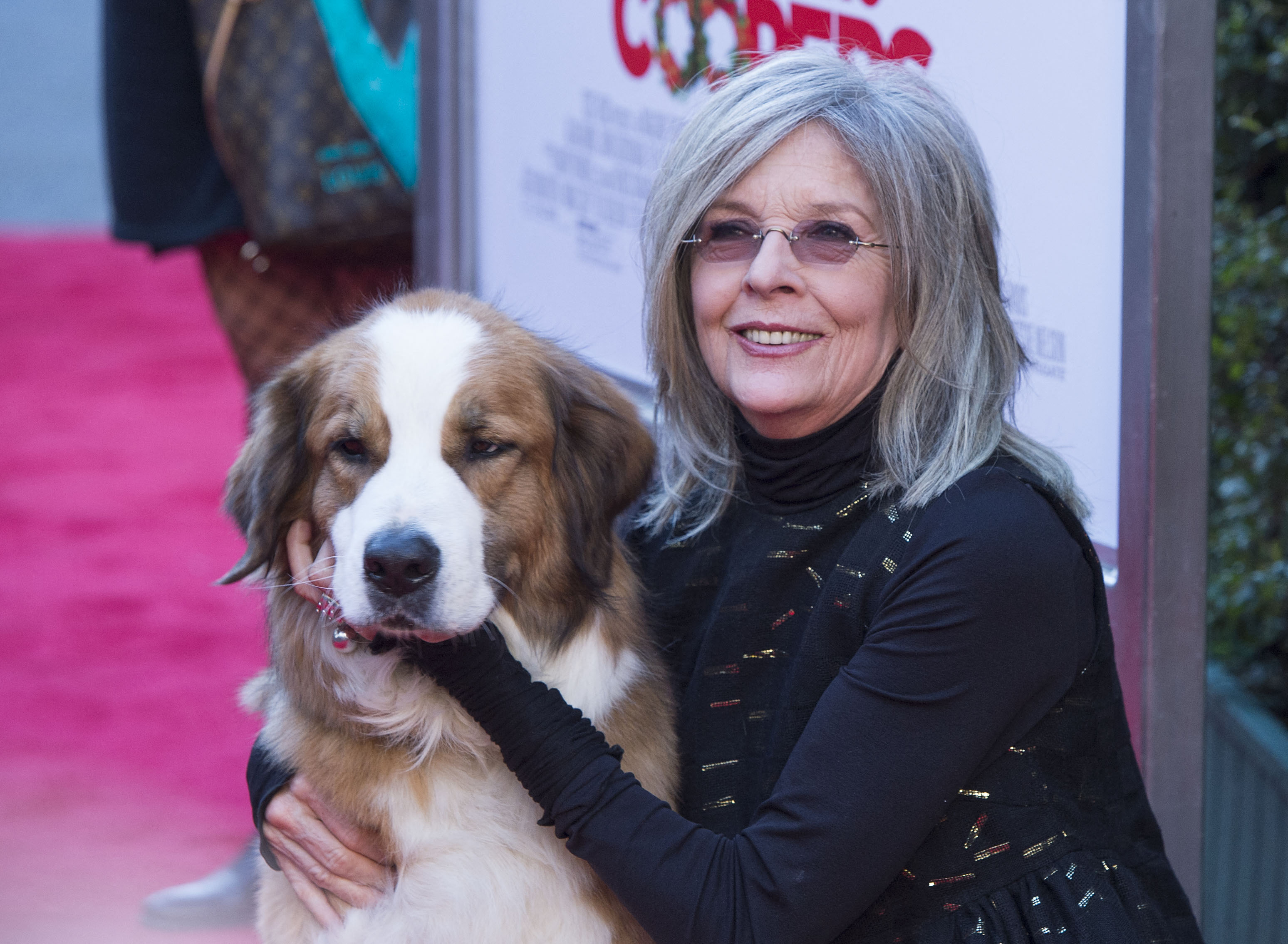(FILES) Actress Diane Keaton attends the Premiere of "Love the Coopers", in Los Angeles, California, on November 12, 2015. According to People magazine reports on October 11, 2025, US actress Diane Keaton, known for her Oscar-winning performance in 1977's "Annie Hall" and her role in "The Godfather" films, has died at age 79. (Photo by Valerie MACON / AFP)