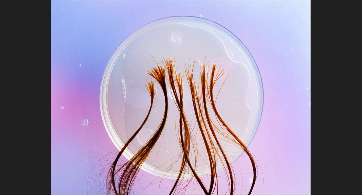 A la vez profundamente personal y objeto de escrutinio público, el cabello se sitúa en la frontera entre la biología y la identidad. Pocos atributos están tan ligados a la cultura, la belleza y la expresión como los mechones que enmarcan nuestros rostros y salpican nuestra piel. (Foto Prensa Libre: Tonje Thilesen/The New York Times)
