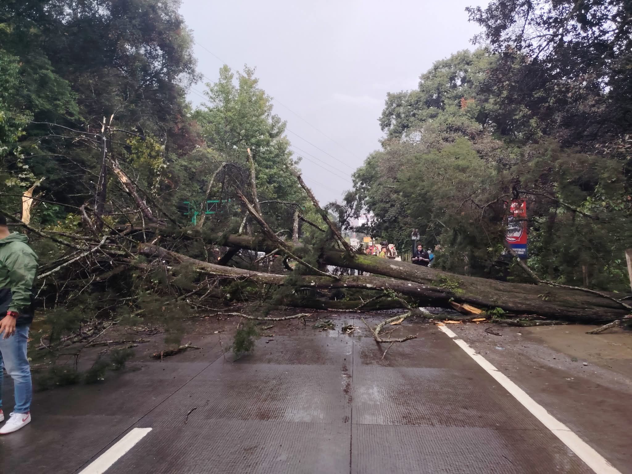 Temporada de lluvia 2025 Guatemala'