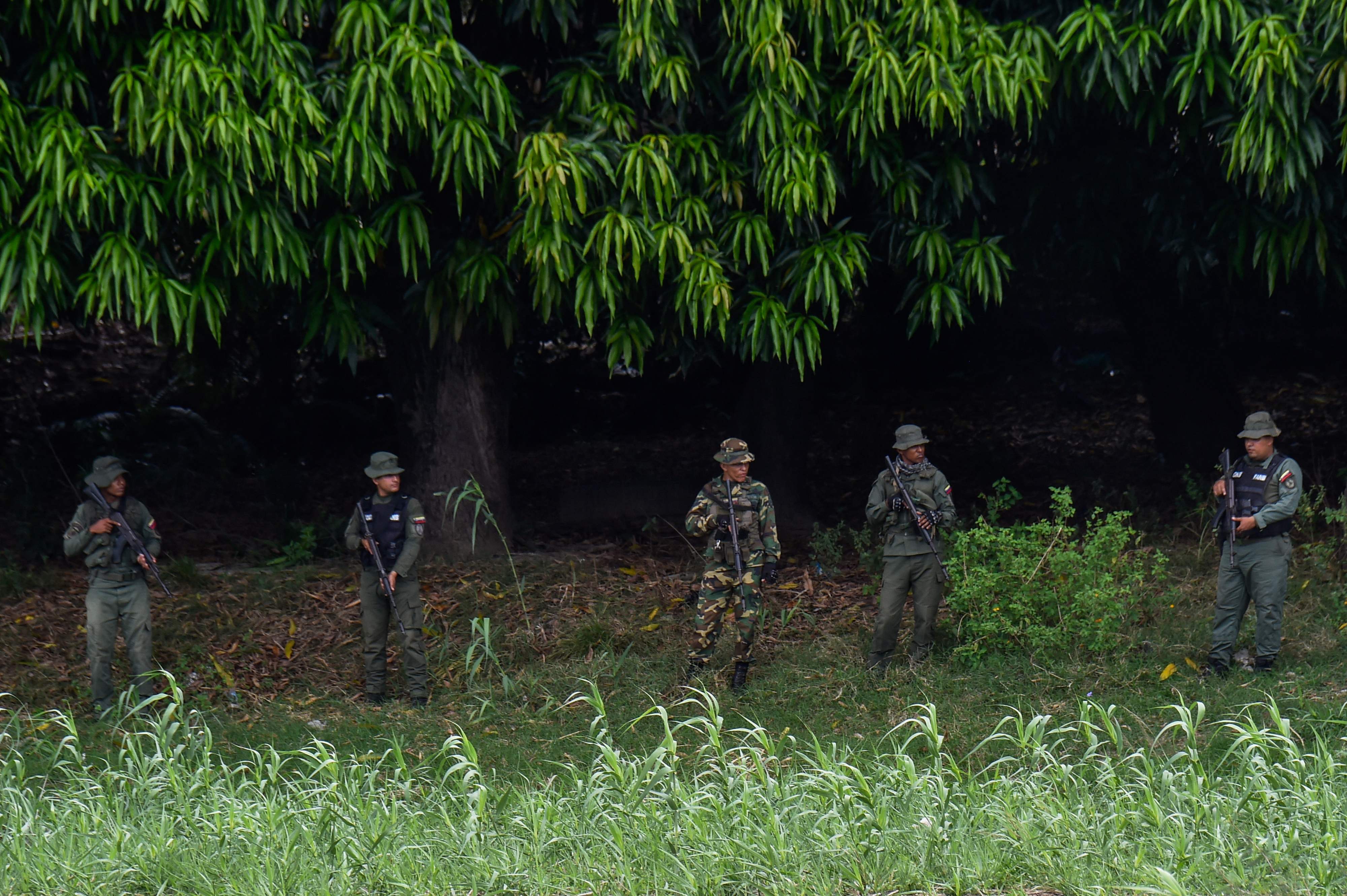 MILICIA CAMPESINA VENEZUELA ESTADOS UNIDOS'