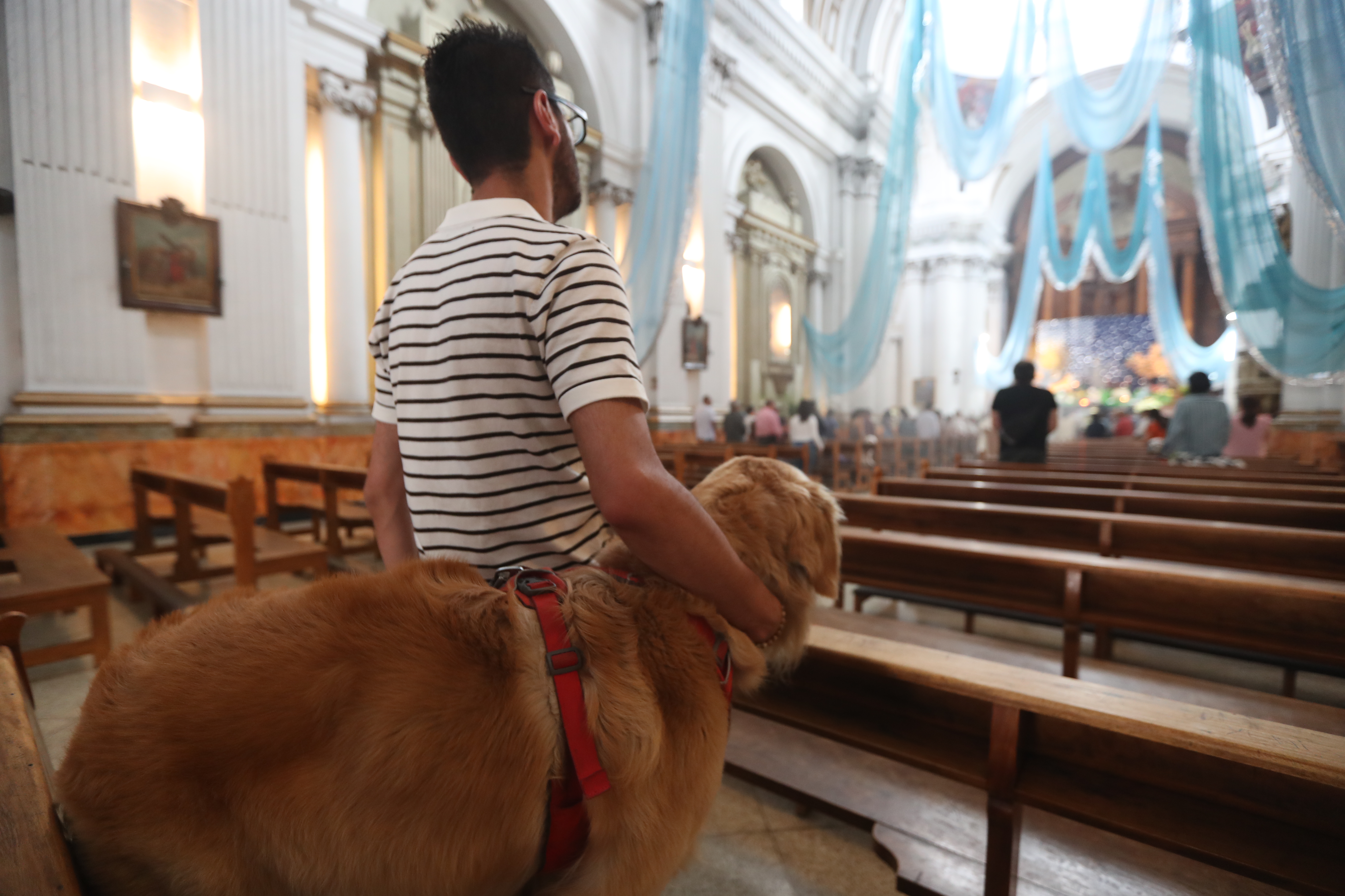 BENDICION DE MASCOTAS'