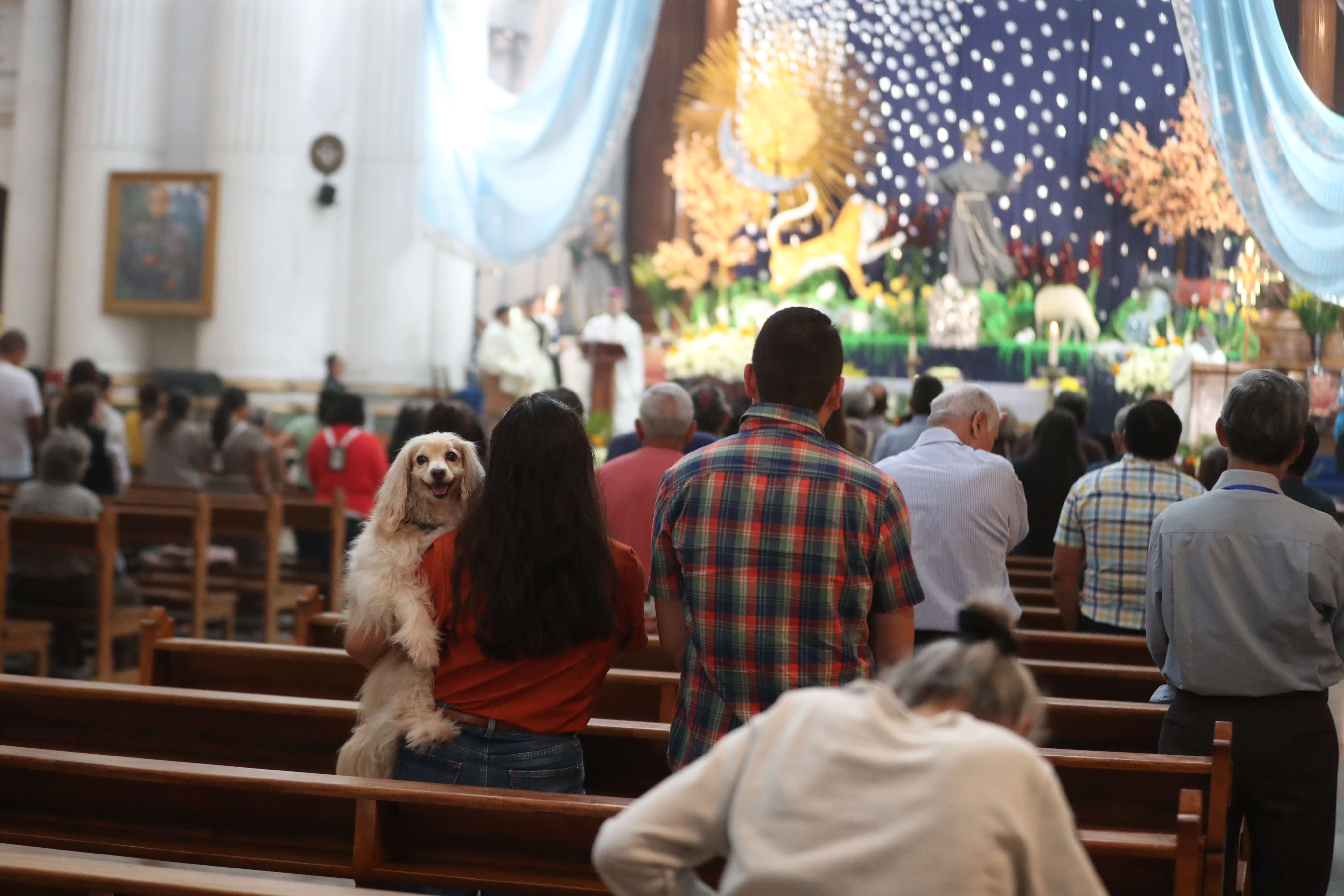Bendición de Mascotas San Francisco de Asis'