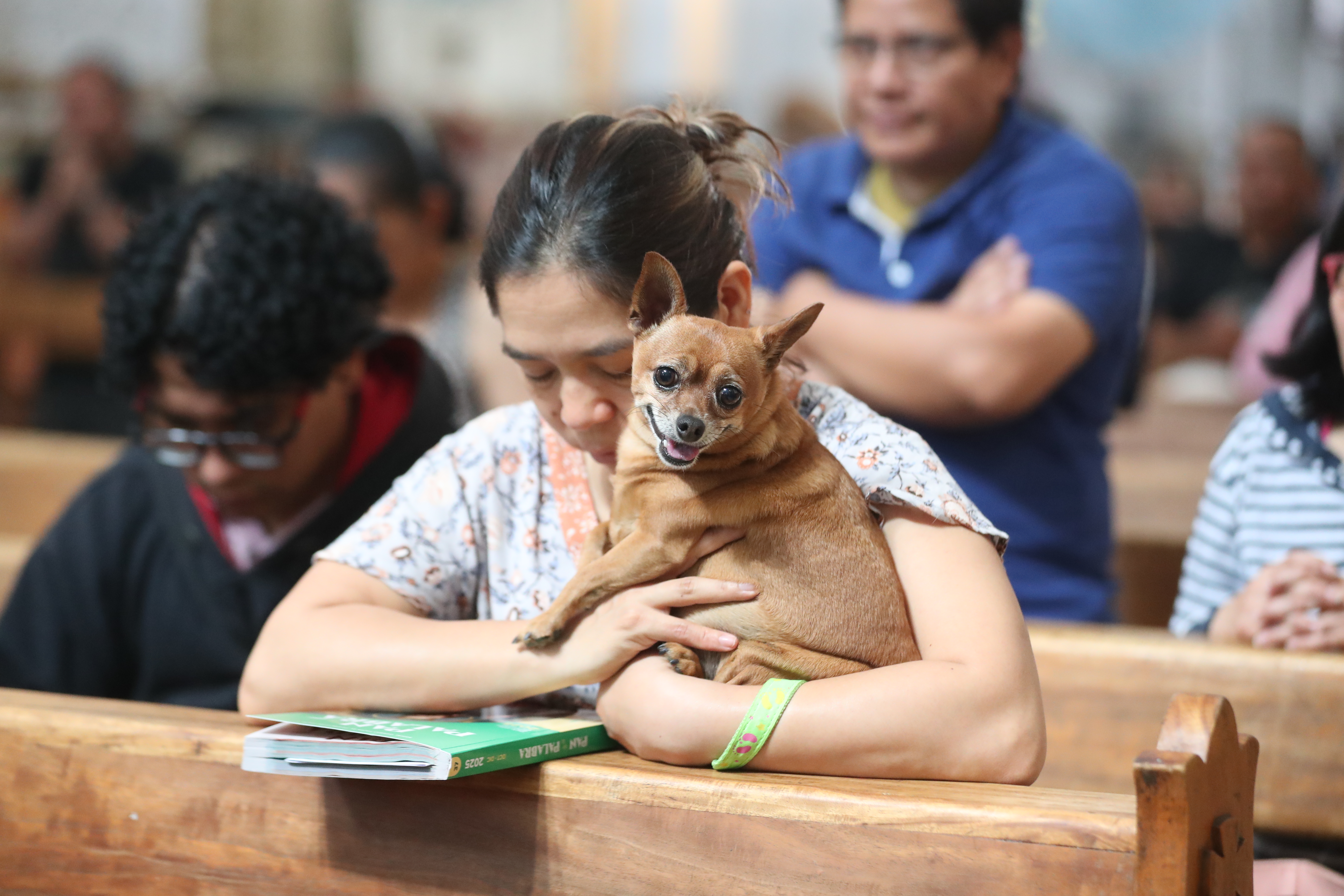 Bendición de Mascotas San Francisco de Asis'