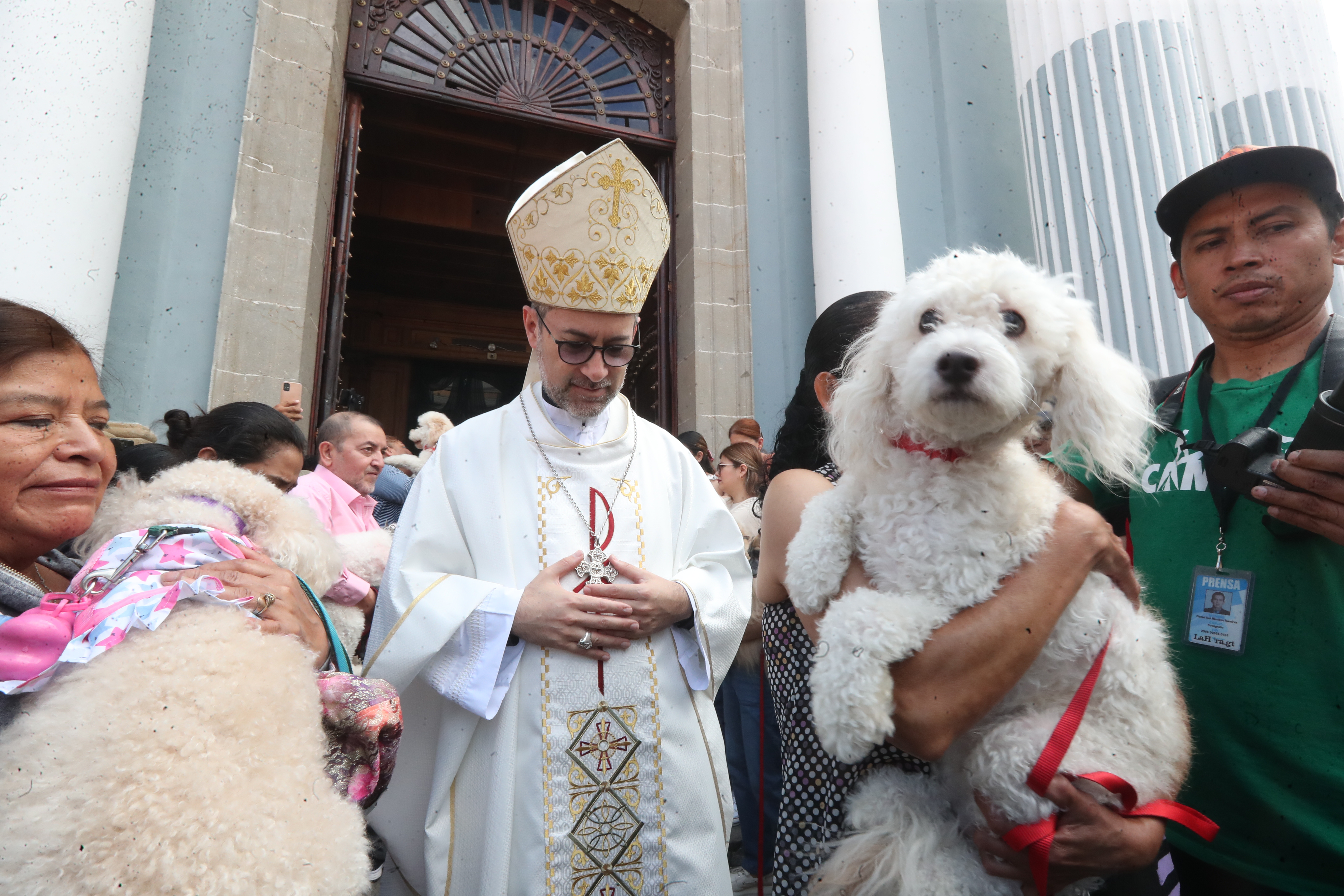 Bendición de Mascotas San Francisco de Asis'