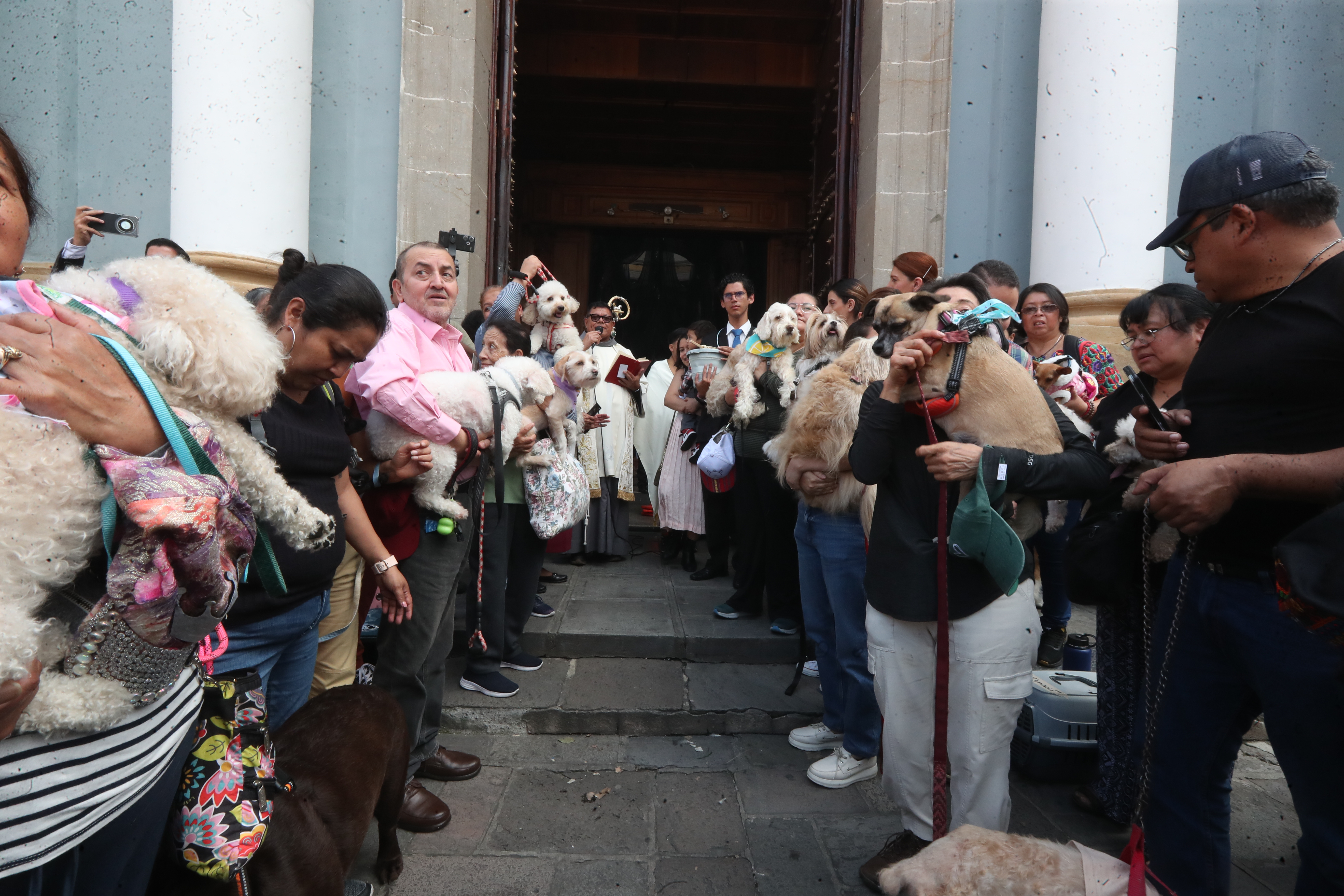 Bendición de Mascotas San Francisco de Asis'