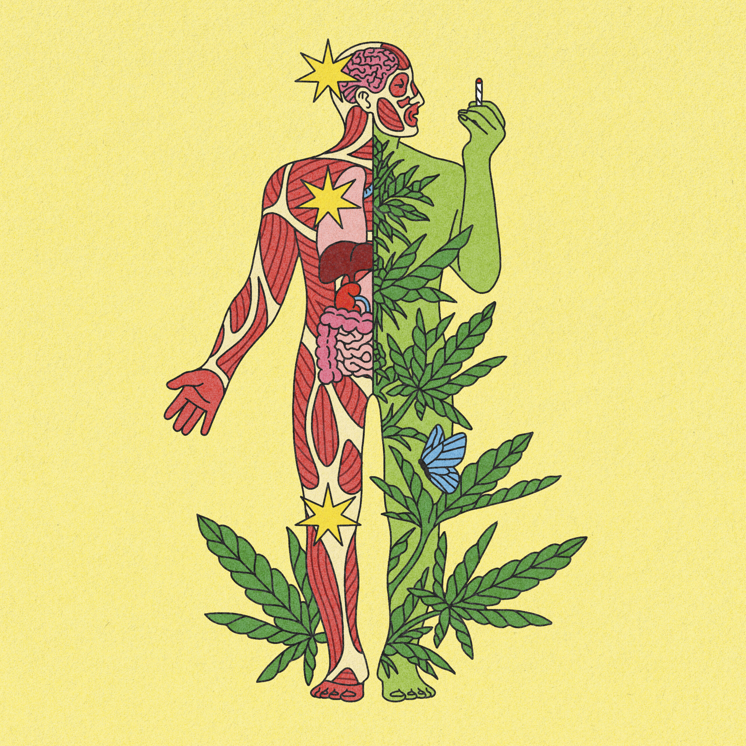 Experts separate fact from fiction about cannabis' safety and benefits after the federal government recently loosened medical marijuana rules. (Nada Hayek/The New York Times) -- FOR EDITORIAL USE ONLY WITH NYT STORY SLUGGED SCI MARIJUANA BY RONI CARYN RABIN FOR MAY 4, 2026. ALL OTHER USE PROHIBITED. --