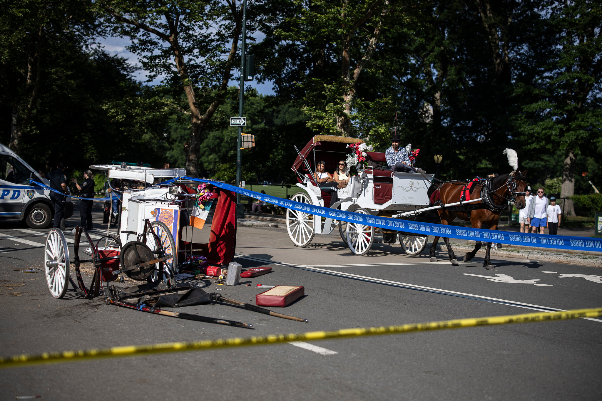 The accident was the latest in a series of mishaps involving horse carriages. Dave Sanders for The New York Times